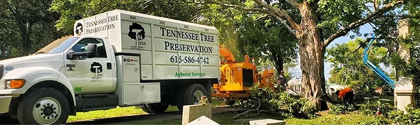 TN Tree Preservation truck and arborist crew providing professional tree removal service in Franklin TN
