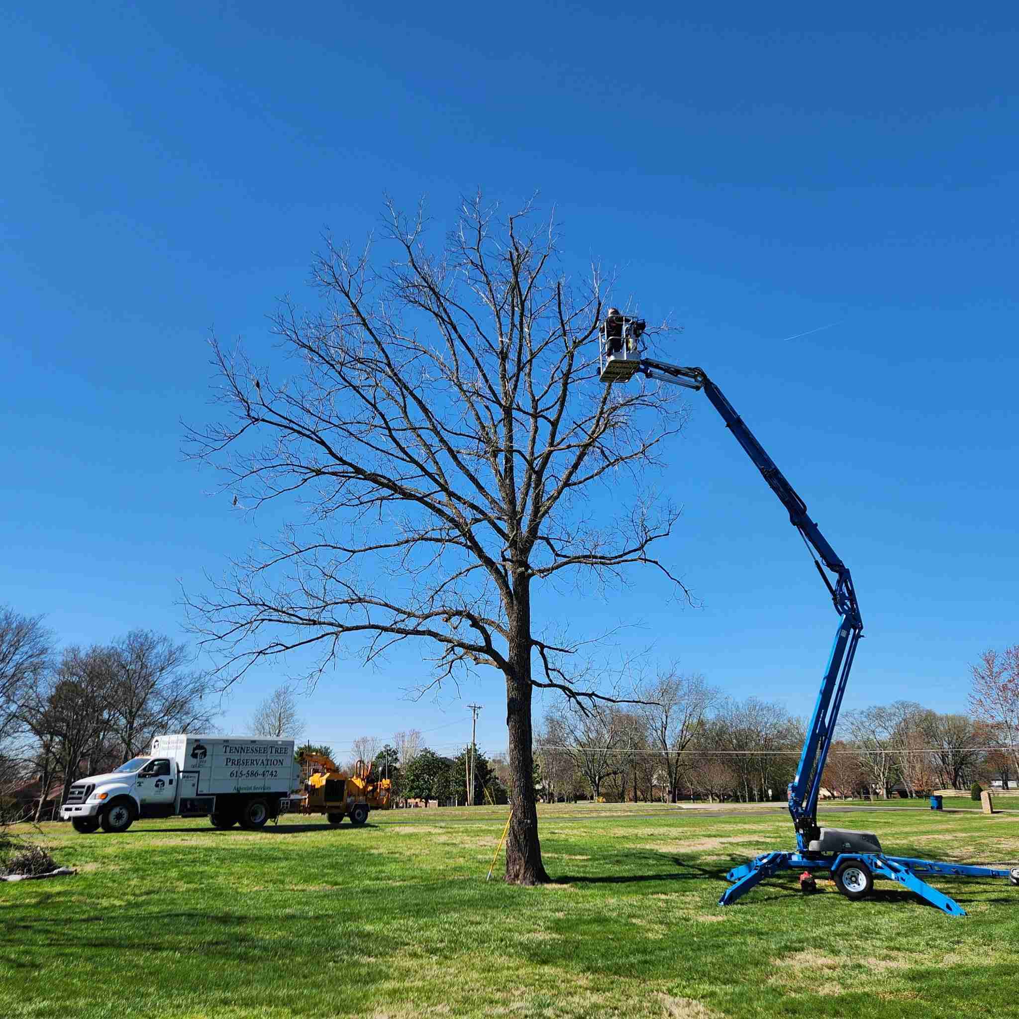 TN Tree Preservation Crane