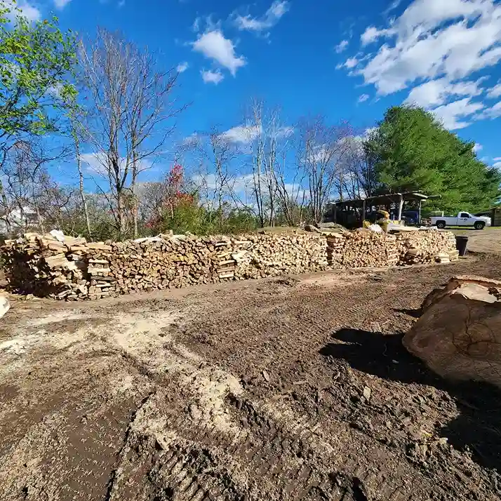 land clearing services in franklin by tn tree