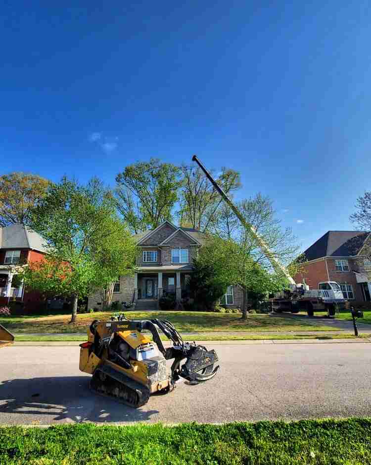 crane for tree removal by tn tree in franklin